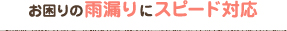 お困りの雨漏りにスピード対応